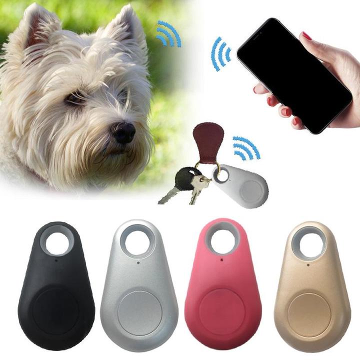 Pettrack - kompakter GPS -Tracker für Haustiere-3