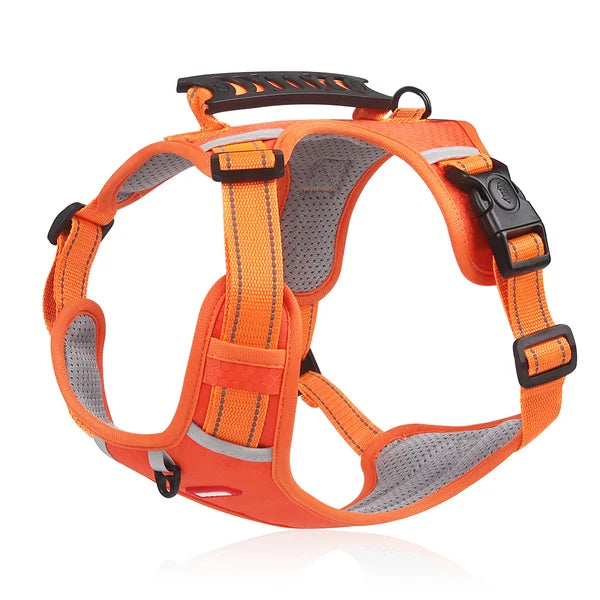 Walkease ™ der bequeme Hundehalsband-3