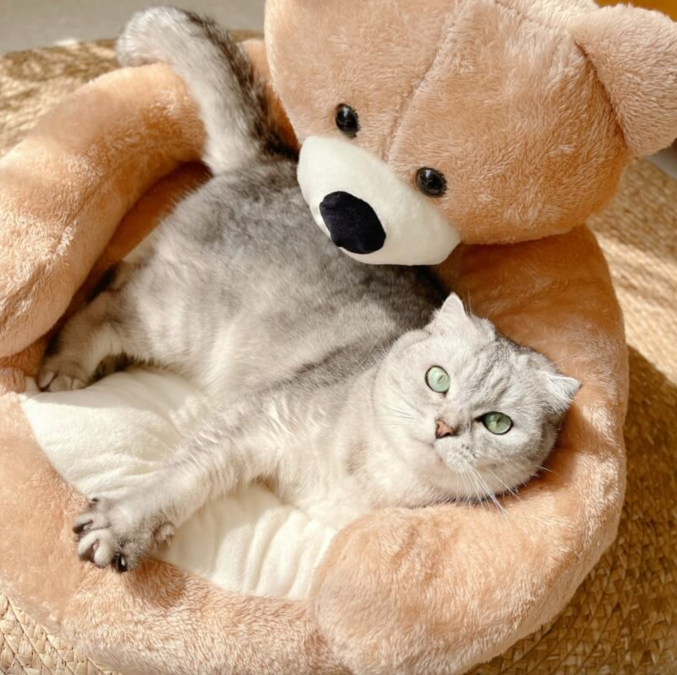 Samiya - Luxus -Plüsch -Katzenbett für schlafende Komfort-3