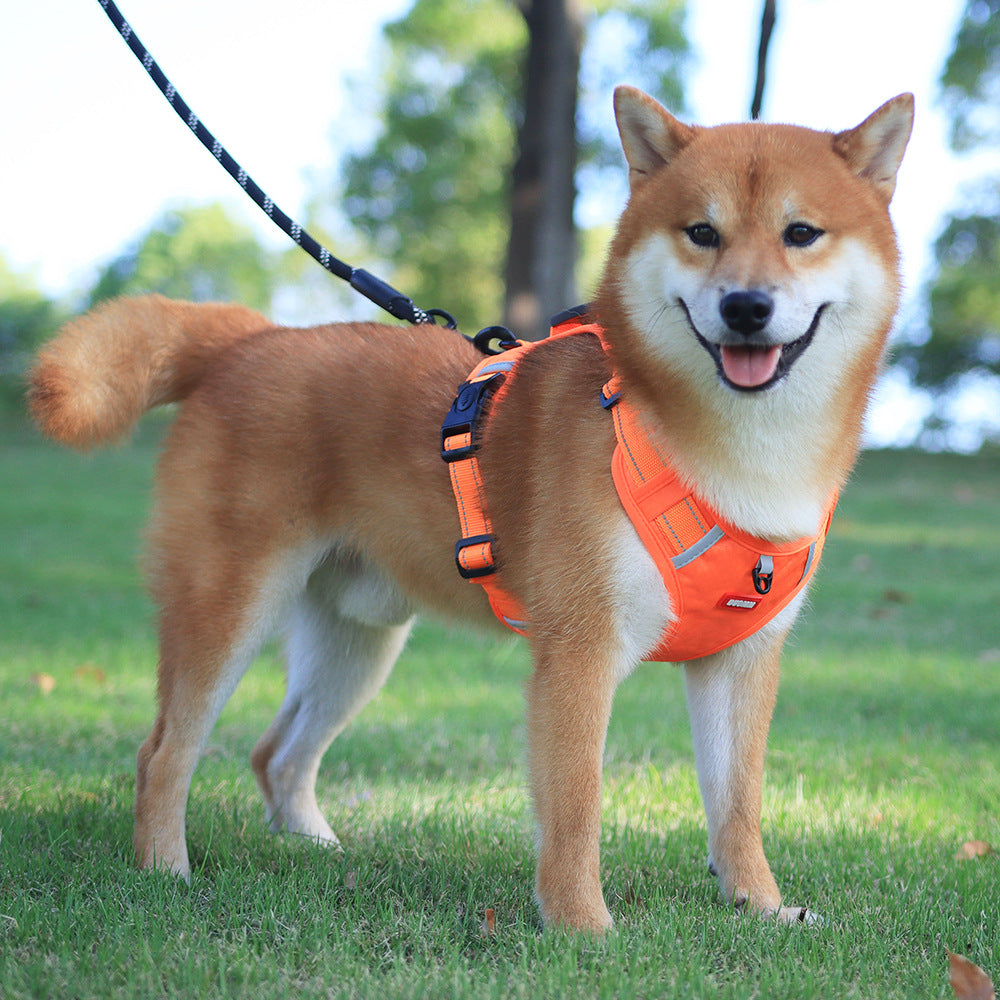 Walkease ™ der bequeme Hundehalsband-2