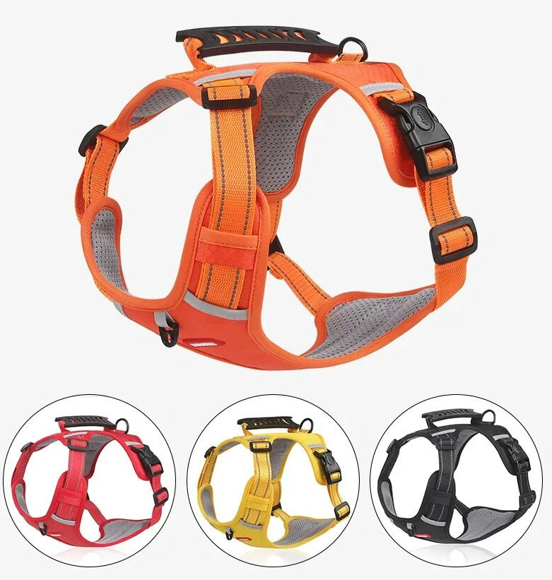 Walkease ™ der bequeme Hundehalsband-1