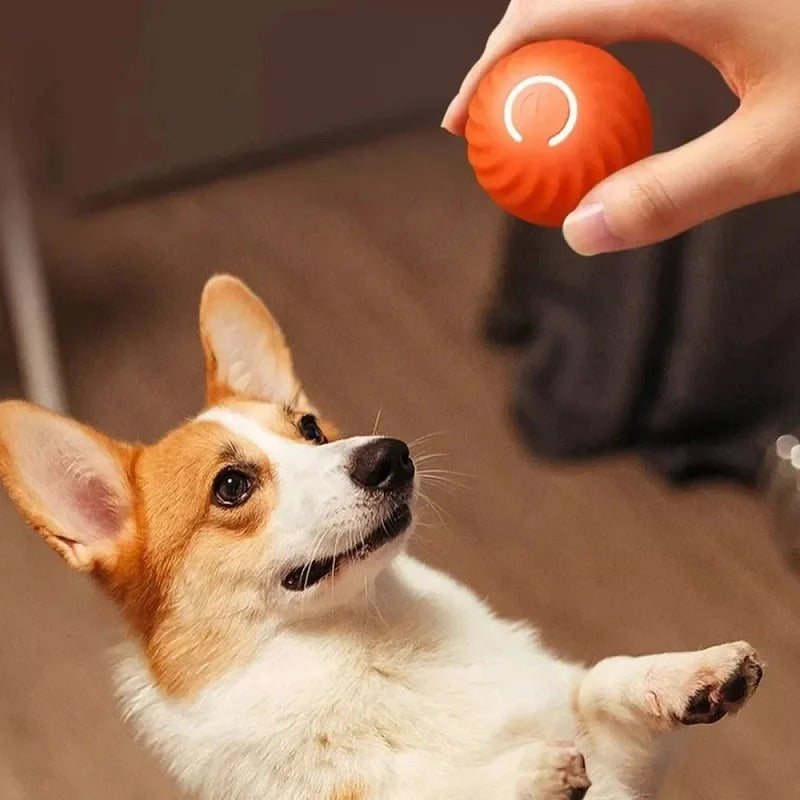 Smartplay - Automatischer Spielball für Hunde-6