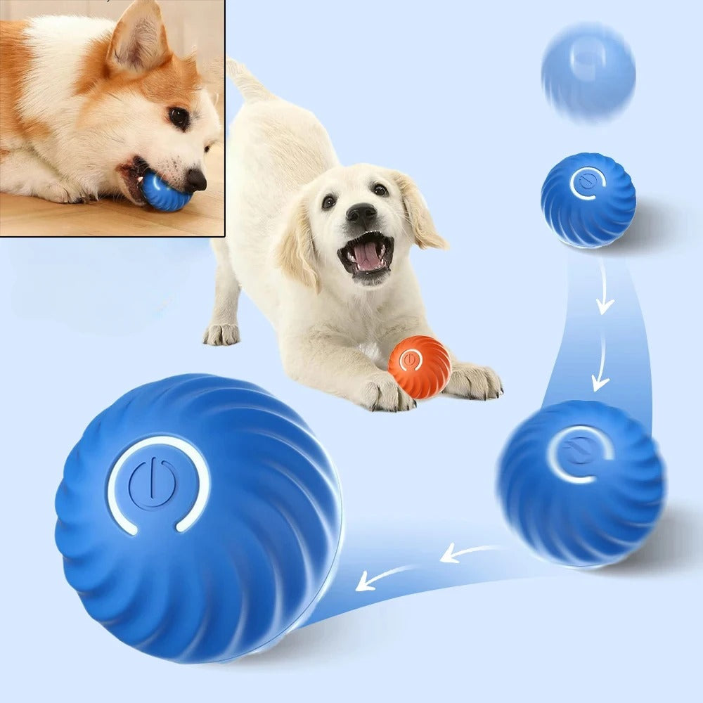 Smartplay - Automatischer Spielball für Hunde-4