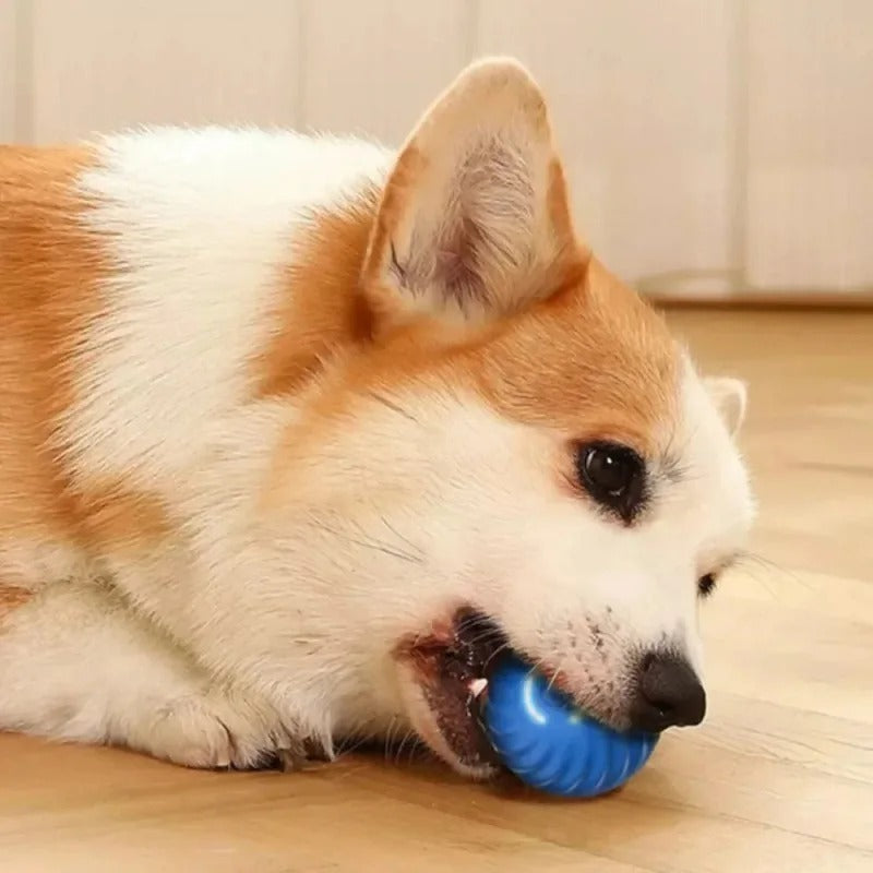 Smartplay - Automatischer Spielball für Hunde-3