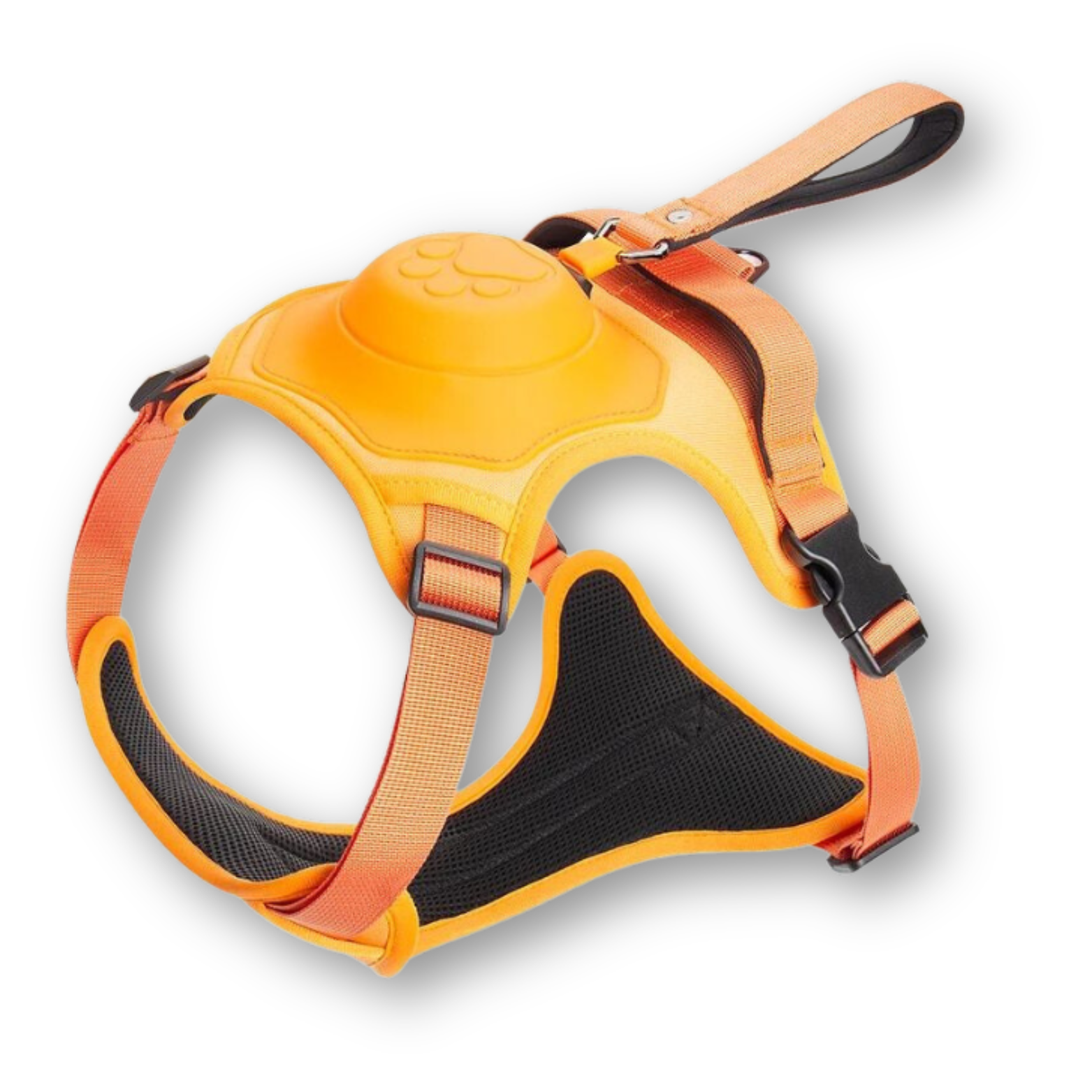 Variant image for Orange