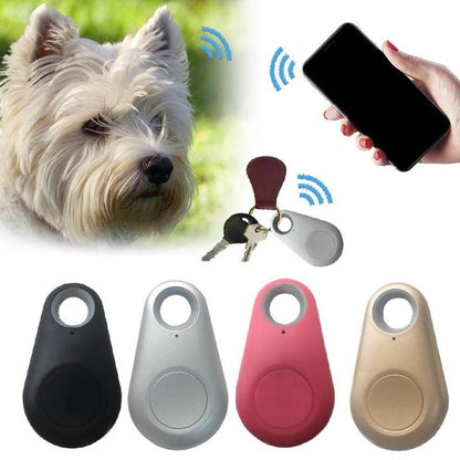 Pettrack - kompakter GPS -Tracker für Haustiere-3