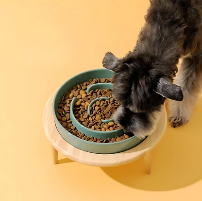 Futternapf Keramik Weiß Größe M Langsame Fütterung Hunde Katzen-5