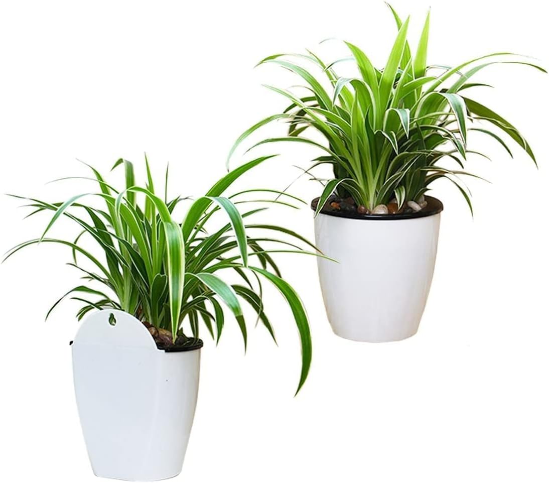Plantiva Vertikaler Selbstbewässernder Blumentopf