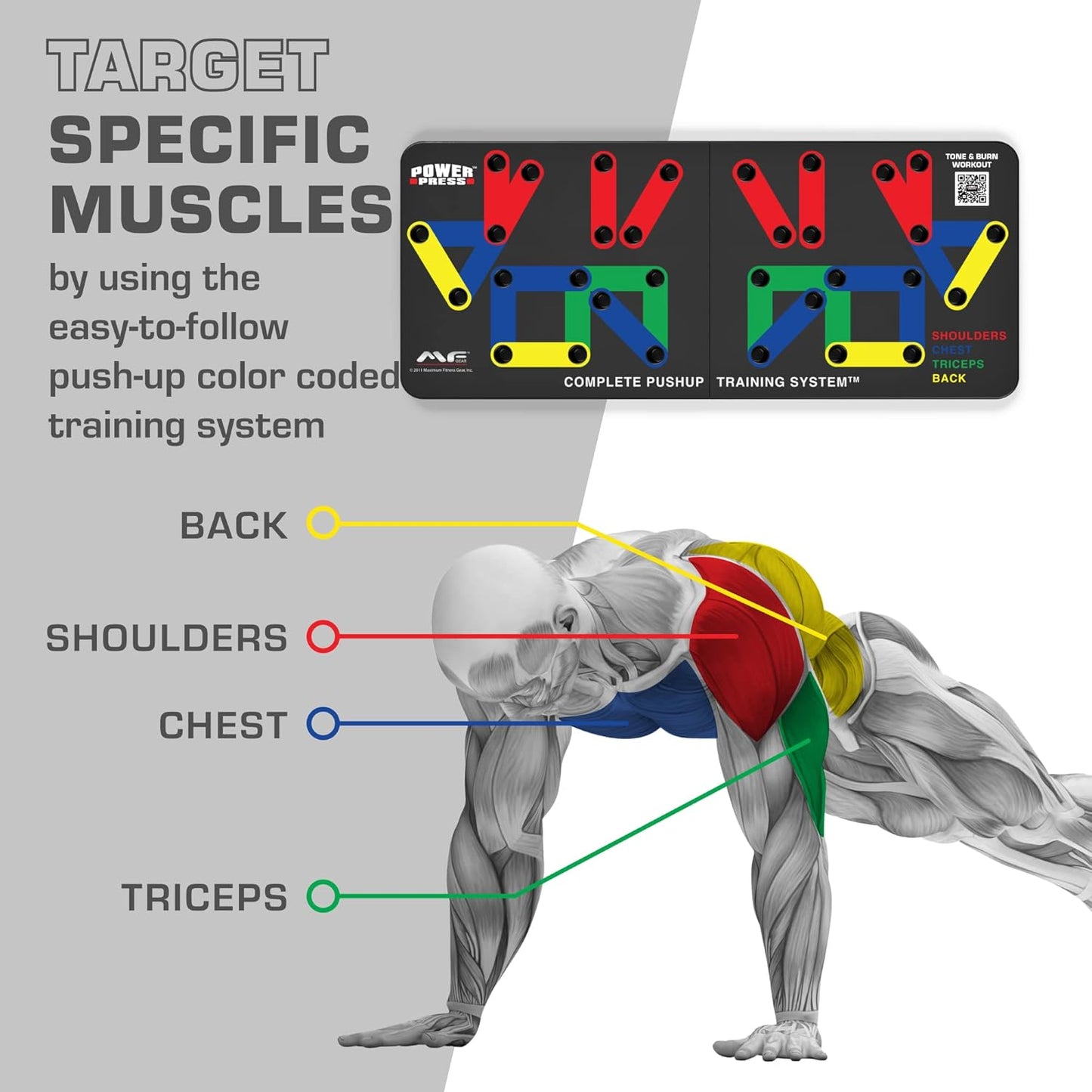 FlexIFit - Faltbares Push-up-Trainingsbrett mit 30 Farbcodierten Positionen-2