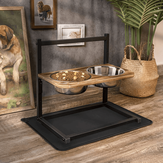 Snackhaven - Luxus erhöhte Fütterungsstation für Hunde-1