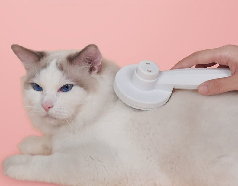 Selfclean - innovativer Katzenpinsel für die Pflege-1