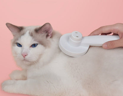 Selfclean - innovativer Katzenpinsel für die Pflege-1