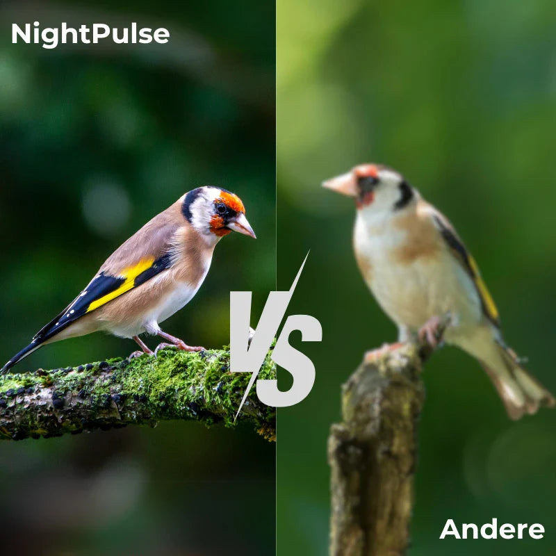  NightPulse™ Nachtsicht-Fernglas-4