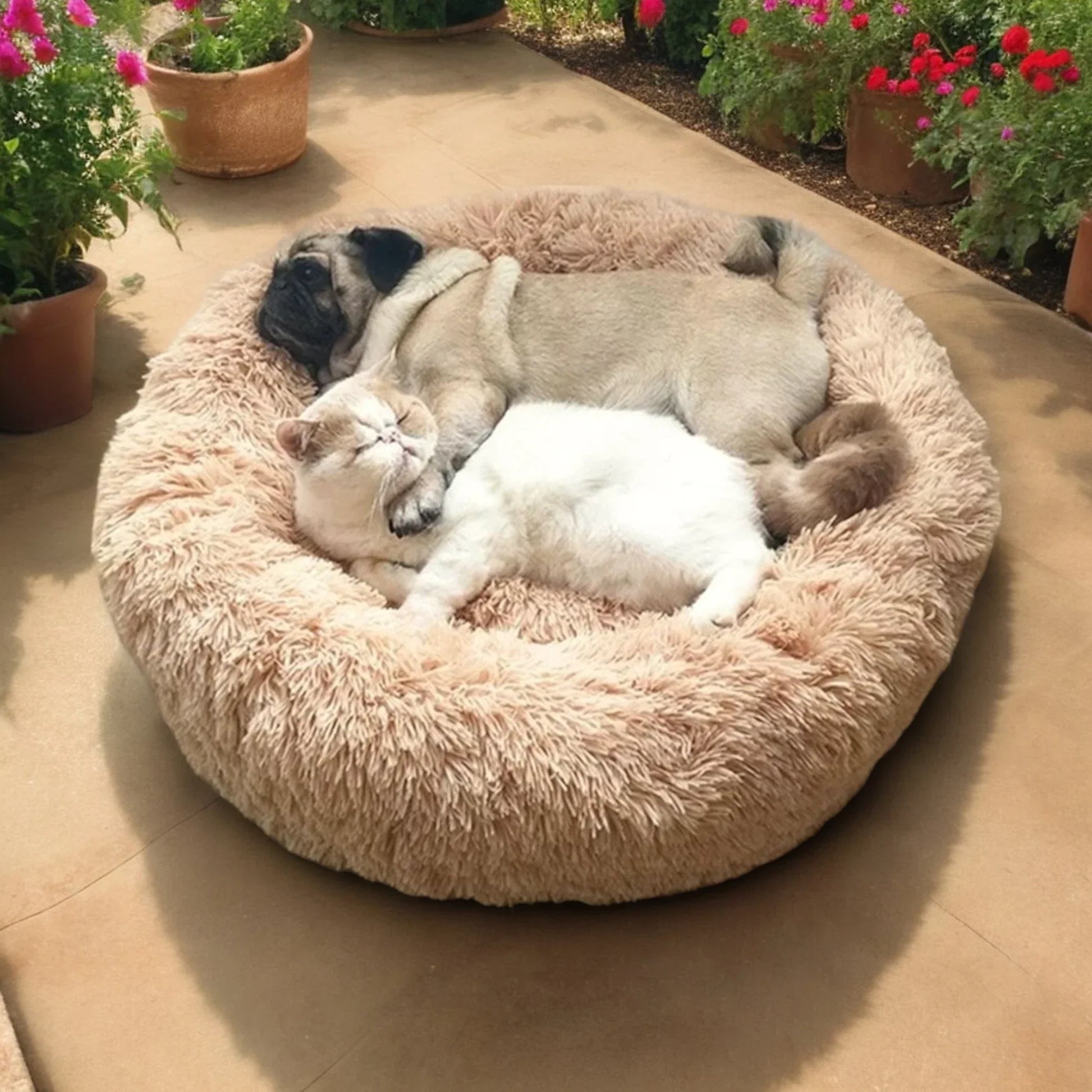 Beruhigendes Hundebett XXL – Gemütliches & Unterstützendes Design für Optimalen Komfort-4