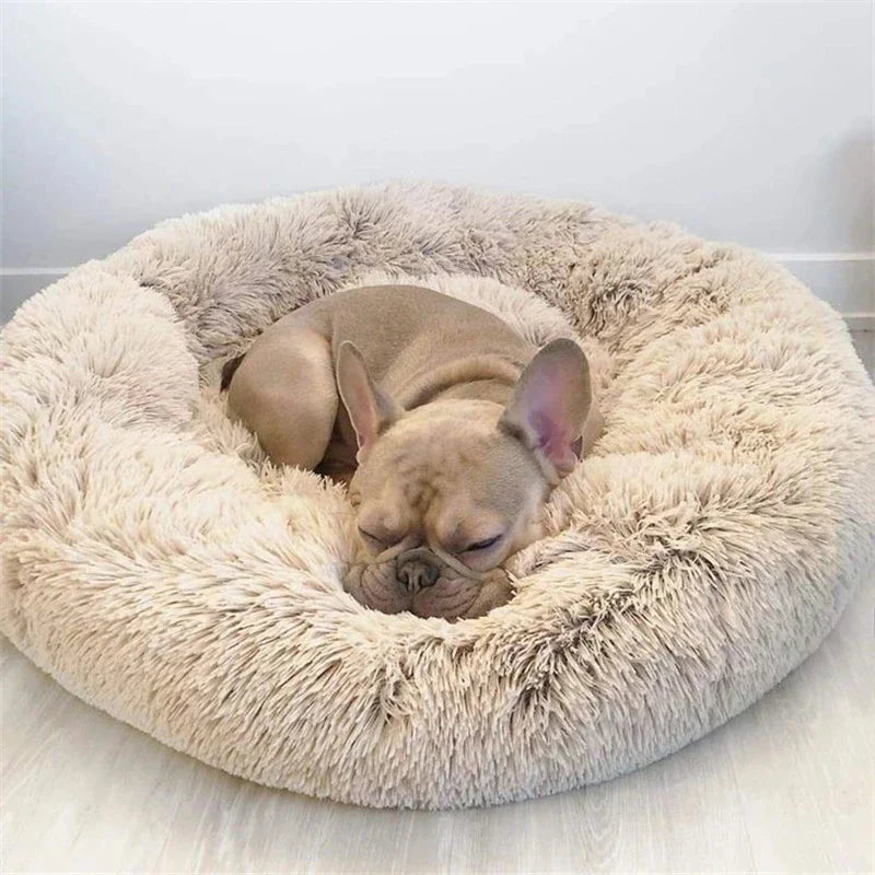 Beruhigendes Hundebett XXL – Gemütliches & Unterstützendes Design für Optimalen Komfort-1