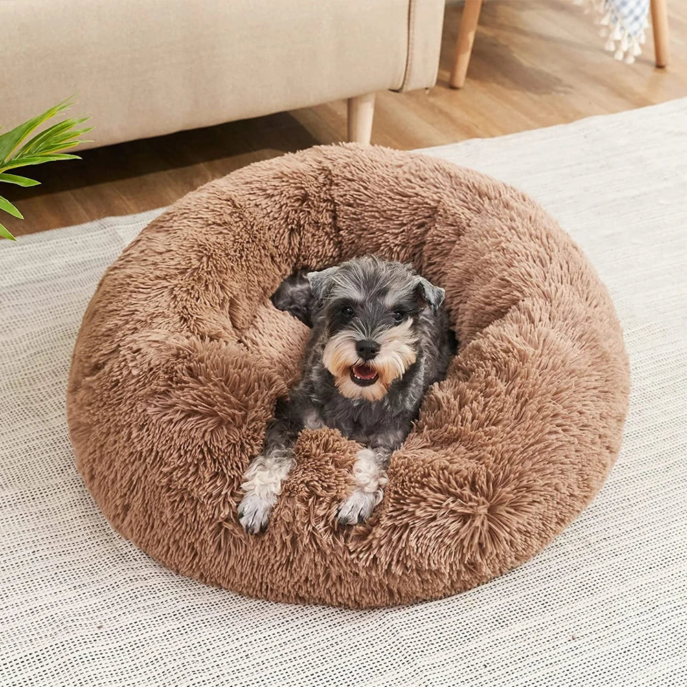 Beruhigendes Hundebett XXL – Gemütliches & Unterstützendes Design für Optimalen Komfort-6