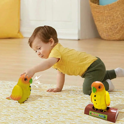 TalkyBird – Der sprechende Papagei Spielzeug