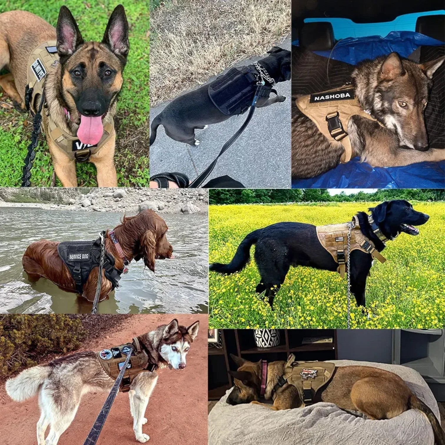 Taktisches Hundegeschirr – Sicherheitsgeschirr für Training & Spaziergänge, atmungsaktiv & verstellbar-5