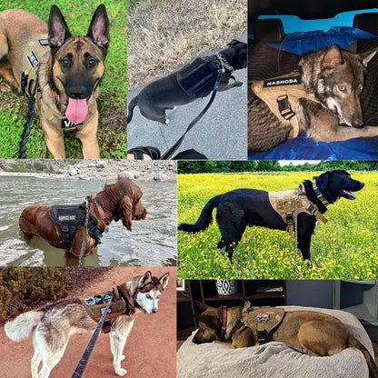 Taktisches Hundegeschirr – Sicherheitsgeschirr für Training & Spaziergänge, atmungsaktiv & verstellbar-5