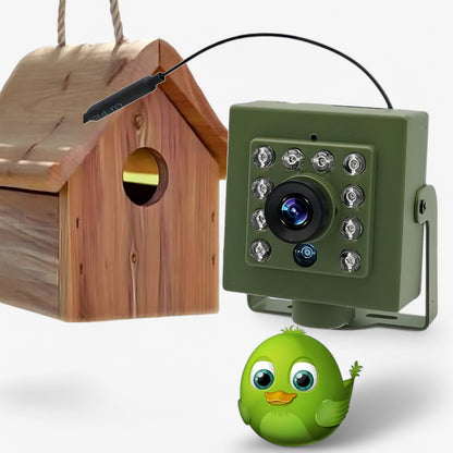 WLAN-Außenkamera mit Nachtsicht – 1080p HD für Vogelbeobachtungen, wetterfest und einfach zu installieren-2