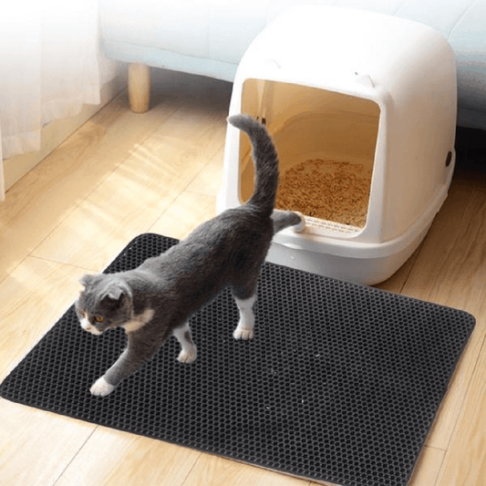 Catguard Matte - Wirksame Lösung gegen Katzengranulat-1