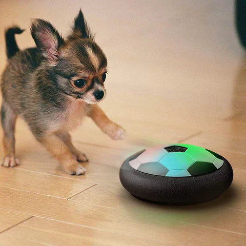Playball Pro - innovative interaktive Spielzeuge für Hunde-4