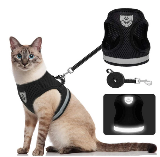 Adventure Kit - sicherer Kabelbaum für abenteuerliche Katzen-1