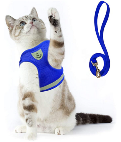 Variant image for Blau