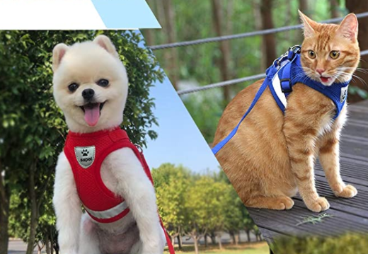 Adventure Kit - sicherer Kabelbaum für abenteuerliche Katzen-3