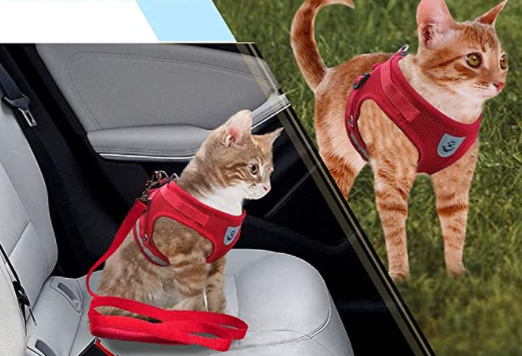 Adventure Kit - sicherer Kabelbaum für abenteuerliche Katzen-4