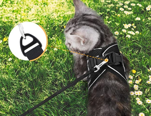 Adventure Kit - sicherer Kabelbaum für abenteuerliche Katzen-5
