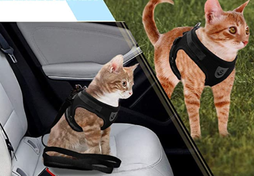 Adventure Kit - sicherer Kabelbaum für abenteuerliche Katzen-6