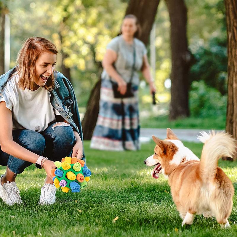 Snufflefun - Verspieltes und pädagogisches Sniffing -Spiel für Haustiere-2