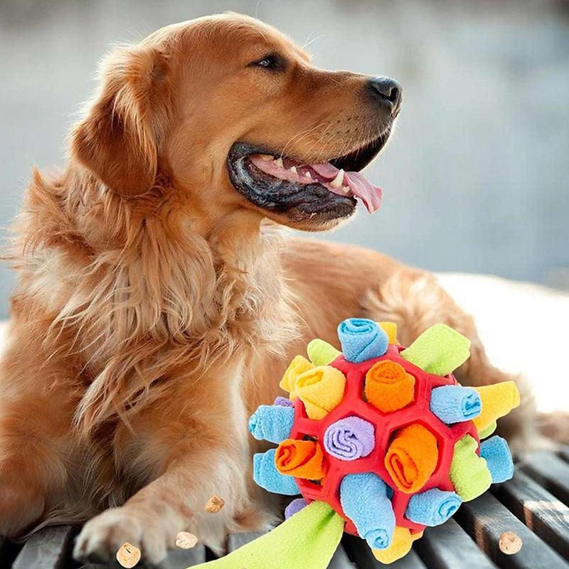 Snufflefun - Verspieltes und pädagogisches Sniffing -Spiel für Haustiere-3