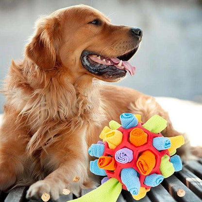 Snufflefun - Verspieltes und pädagogisches Sniffing -Spiel für Haustiere-3