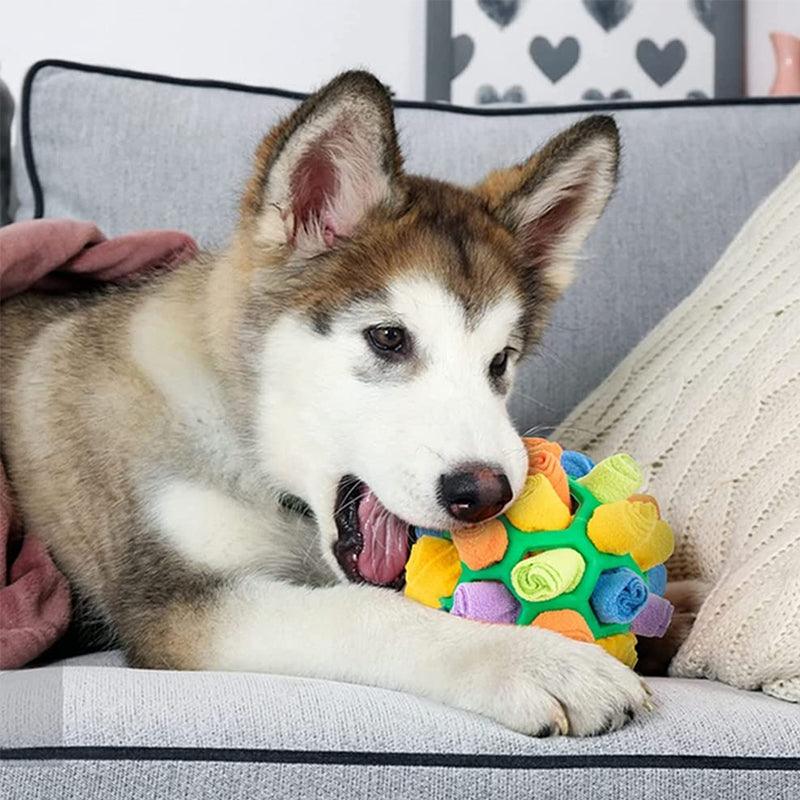 Snufflefun - Verspieltes und pädagogisches Sniffing -Spiel für Haustiere-5