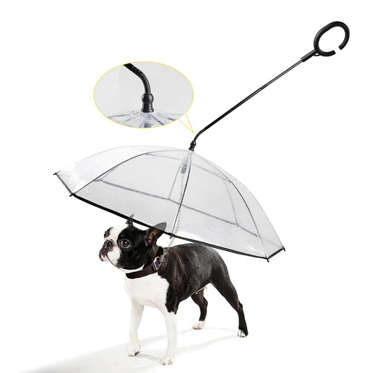 Rainguard -Regenschirm - Transparenter Hundebildschirm-1